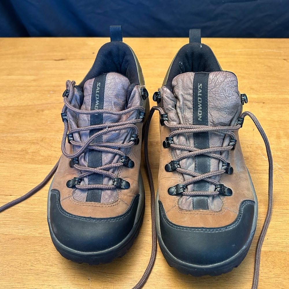 Salomon Hiking Shoes